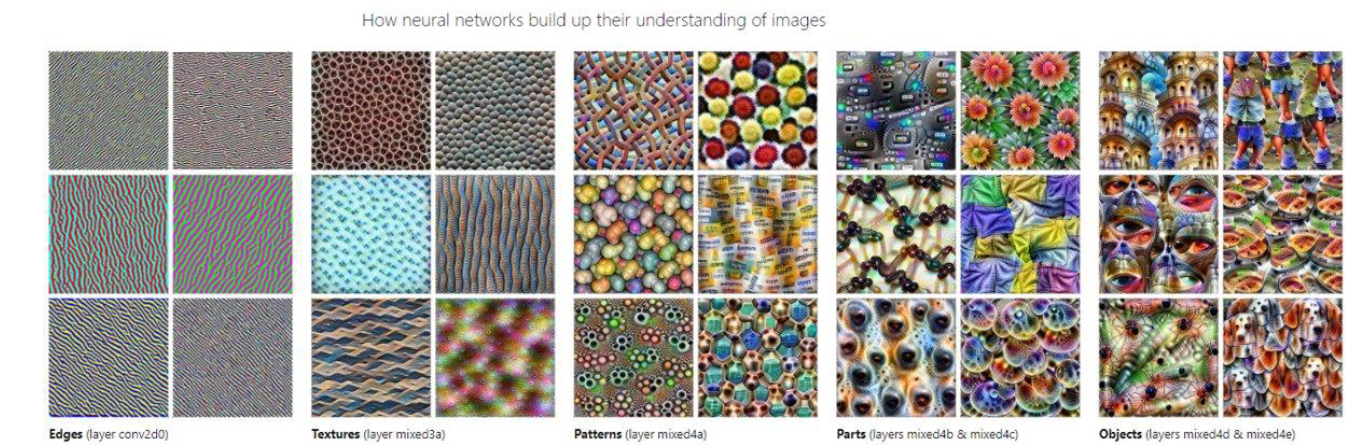 Figure 4. Feature visualization allows us to see how GoogLeNet, trained on the ImageNet dataset, builds up its understanding of images over many layers. Visualizations of all channels are available in the appendix. source: https://distill.pub/2017/feature-visualization/