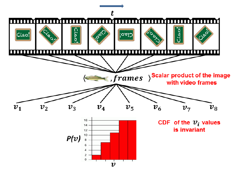 Crucially, mechanisms capable of computing invariant representations under affine transformations can be learned (and maintained) in an unsupervised, automatic way just by storing sets of transformed templates which are unrelated to the object to be represented in an invariant way. In particular the templates could be random patterns. Source: Anselmi et al. Representation Learning in Sensory Cortex: a theory